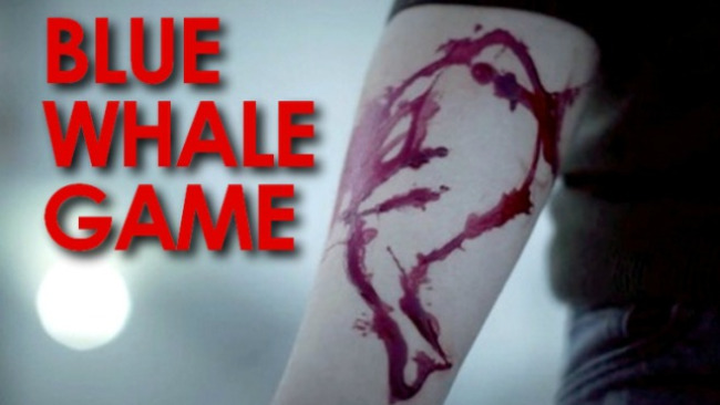 Blue Whale Game Wiki,Bio,Images,Viral,Facts | Full Details